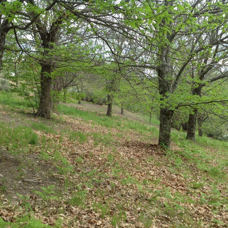 El Mirador De Los Trobos Villar de Otero Екстериор снимка